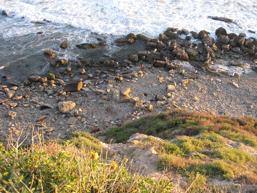 Carpinteria California 2010-02 0740.jpg - A trip to Carpinteria California. Surfing, food, and pelicans on the beachs.